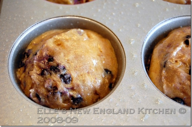 browned-butter-blueberry-muffins