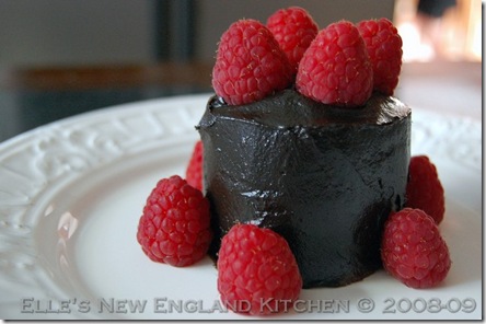 raw-chocolate-ganache-cake-5