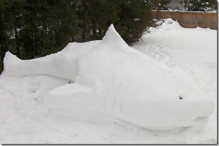 SnowSculptureShark2