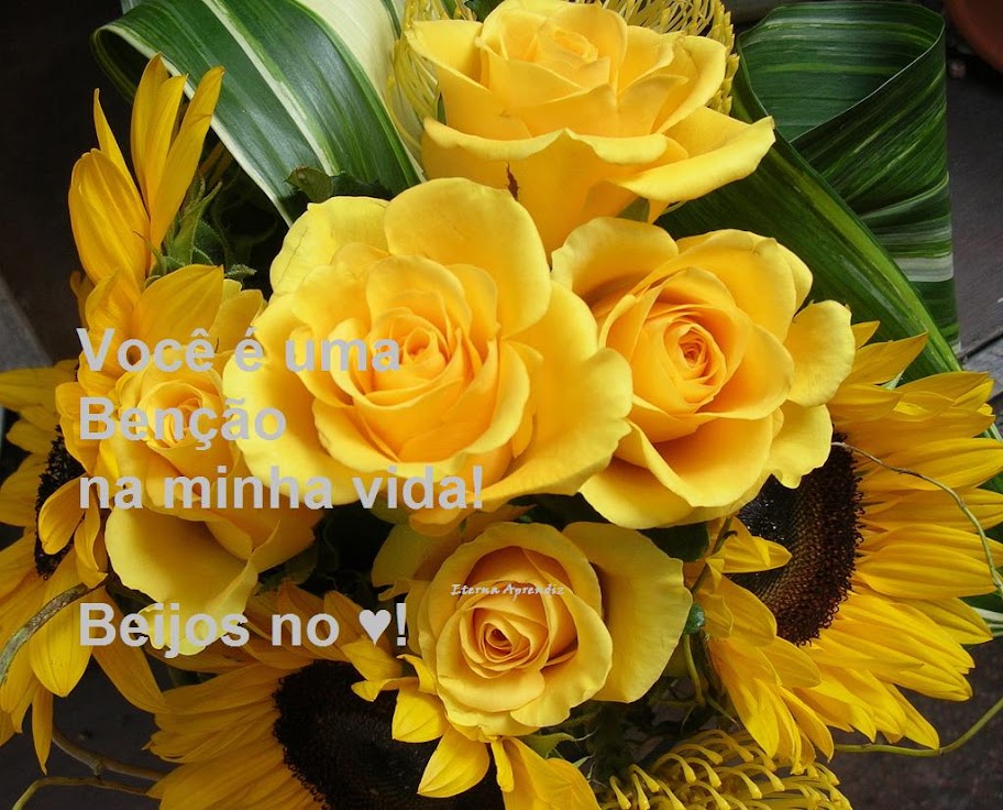 Voc%C3%AA%20%C3%A9%20uma%20Ben%C3%A7%C3%