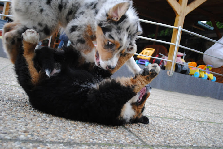 DSC_0039.JPG