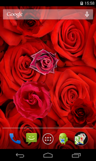 Roses Live Wallpaper