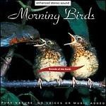 [morning birds[2].jpg]