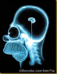 Homer brain