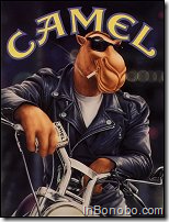 Camel motorcycle