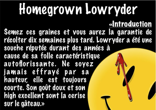 lowryder-page2.jpg