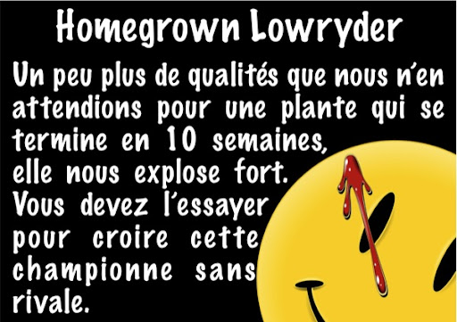 lowryder-page10.jpg