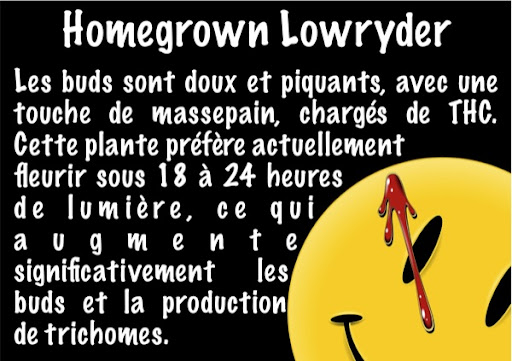 lowryder-page6.jpg