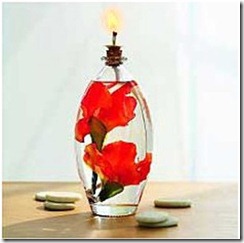 gladiolus oil lamp