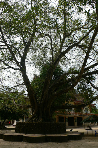 P1100436.JPG