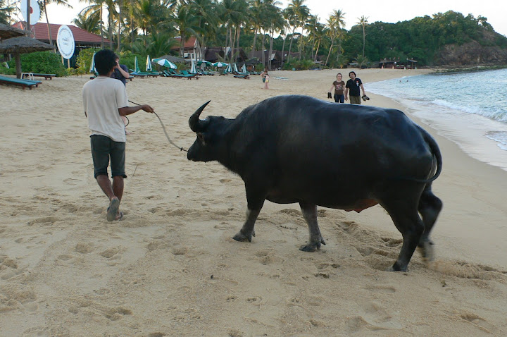 P1100489.JPG