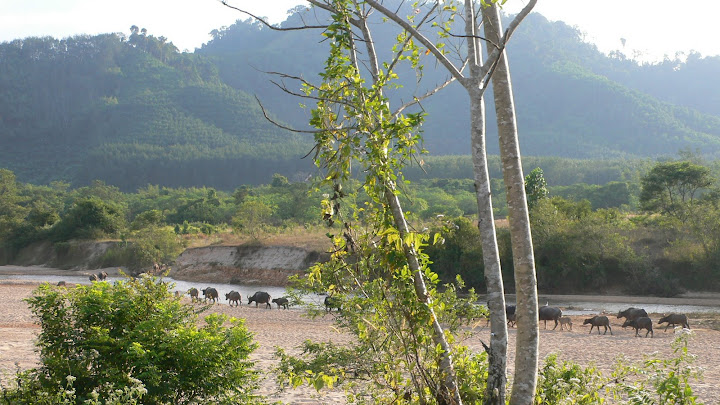 P1100647.JPG