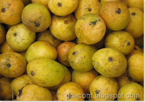 Mancurad mangoes in Goa