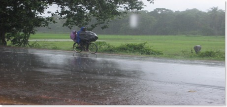 rainfall in Goa