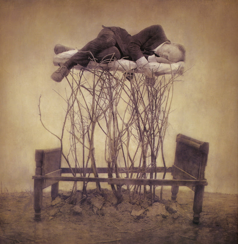 Robert and Shana ParkeHarrison  Forestbed From The Architect’s Brother.jpg
