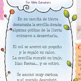 168506semilla.jpg