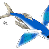 Peces (166).jpg