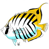 BORBOLET.jpg