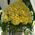 Holidays Wedding in Bali