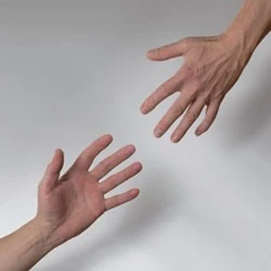 solidariedade