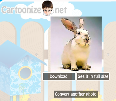 [image[11].png]