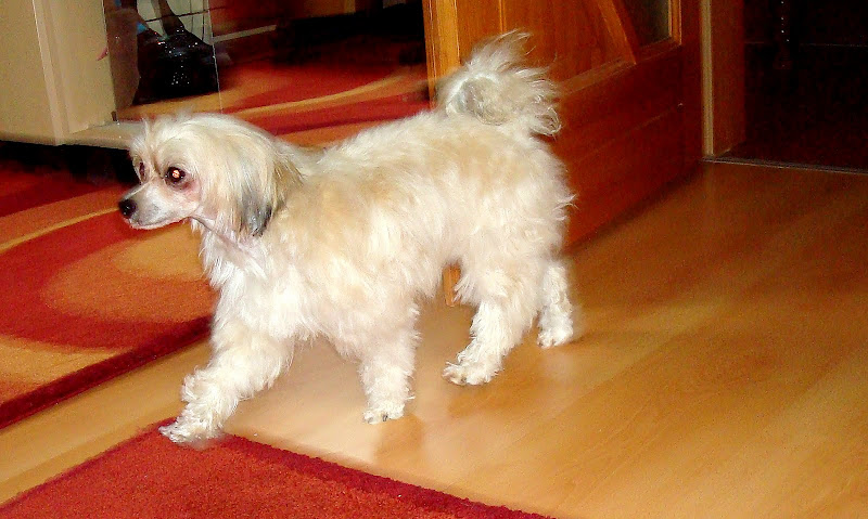 DSC02480.JPG