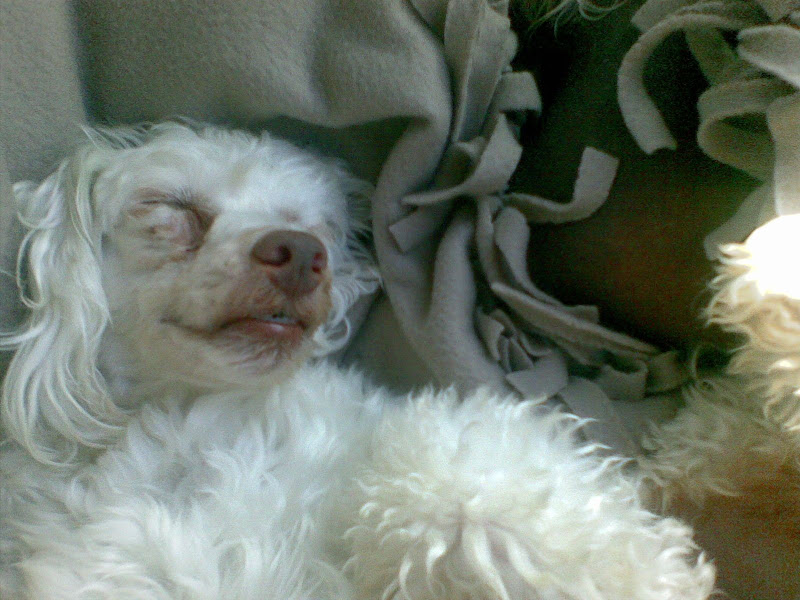 20090705283.jpg