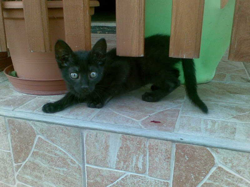 20090709289.jpg