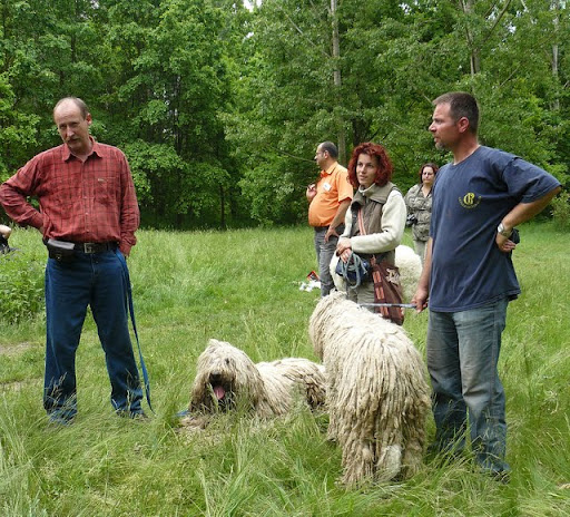 P1050242.JPG