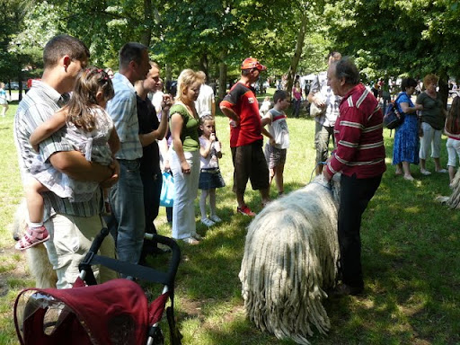 P1050888.JPG