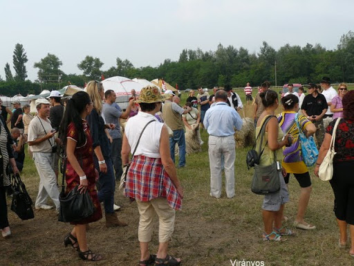 P1060671.JPG