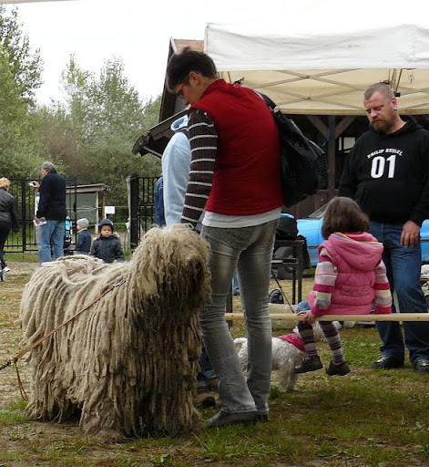 rex%20080.jpg