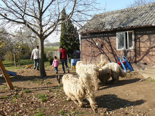 kulcsi%20komisz%20%C3%A9s%20lovagl%C3%A1s%20024.jpg