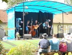 Sandy Boys String Band