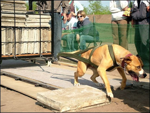 34539351.jpg