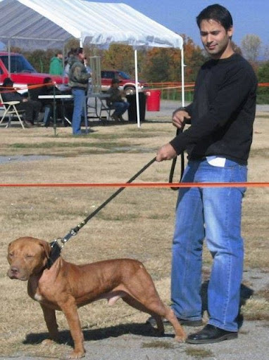 MachobuckNC_jpg_Thumbnail1.jpg