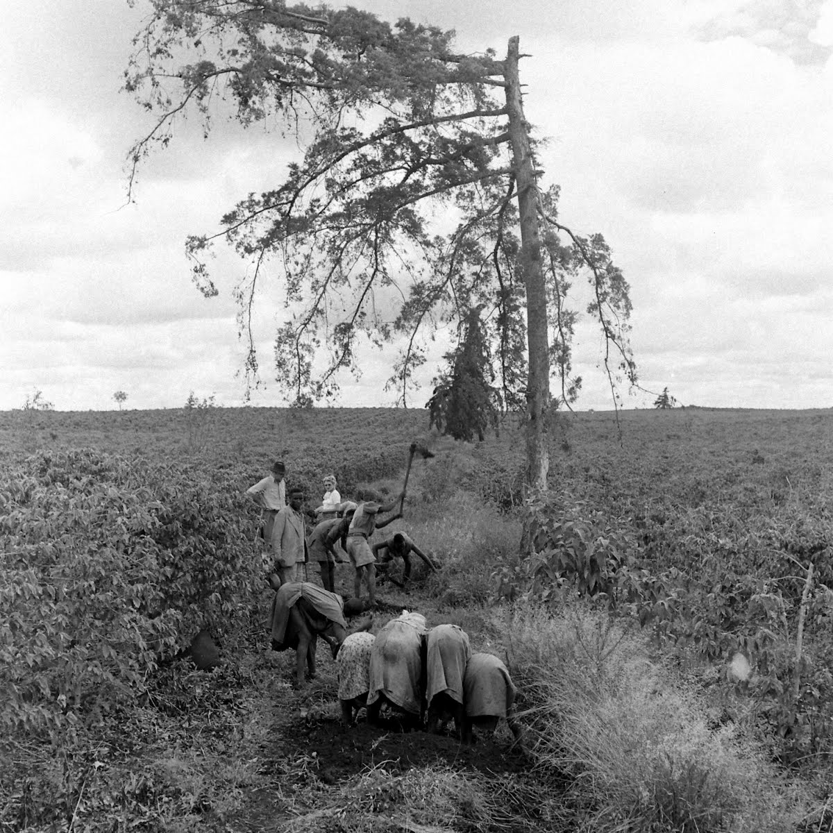 Kenya history and culture image