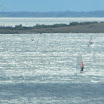 septembre 2010 049.jpg