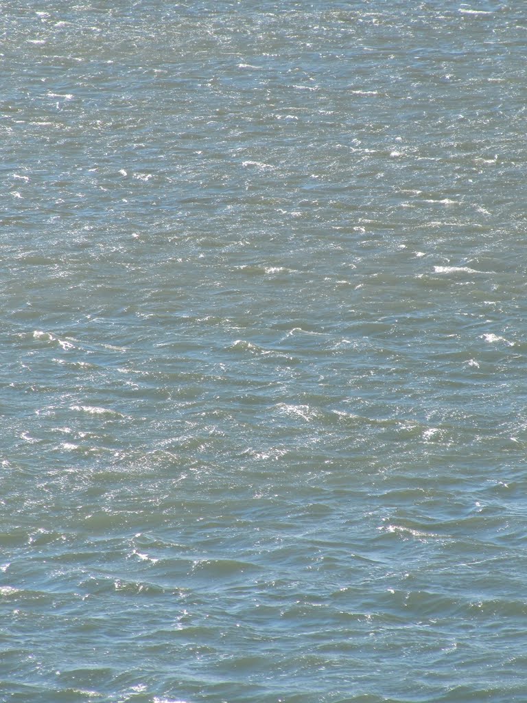 septembre 2010 060.jpg