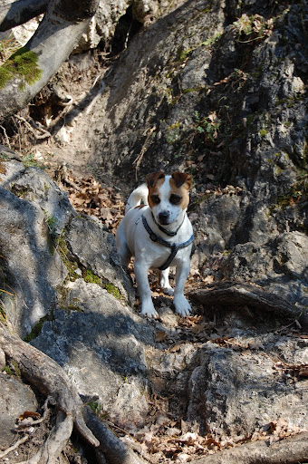 DSC_0593.JPG