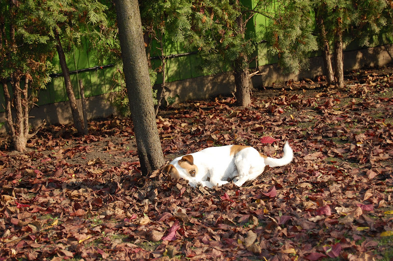 DSC_0514.JPG