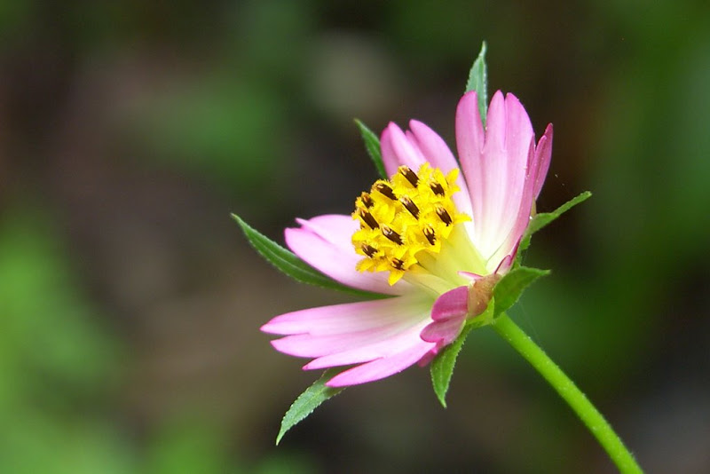 SH107582.JPG