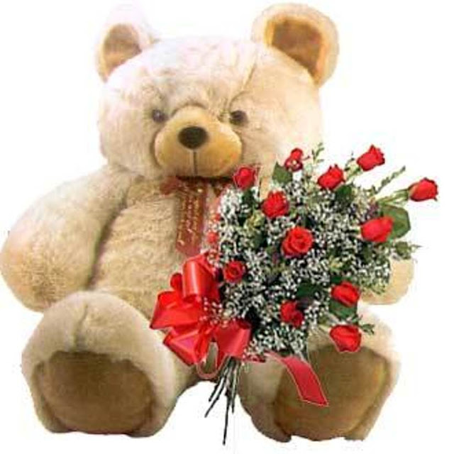teddy-12roses%5B1%5D.jpg