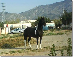 imagen1 imagen1