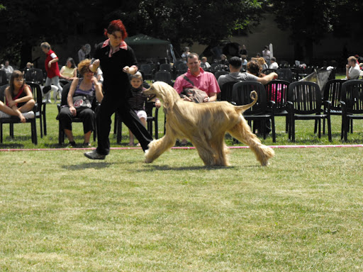 2009_07110065.JPG