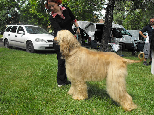 2009_07110150.JPG