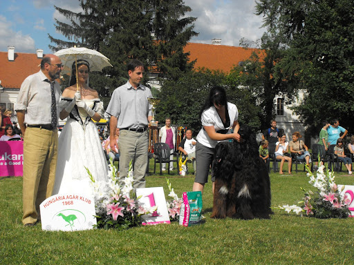 2009_07110177.JPG