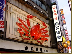 DSCF7429 DSCF7429