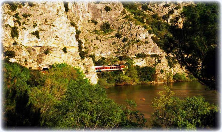 Νεστος Ποταμος -Ο Νεστος Ποταμος πηγάζει από το όρος Ρίλα (2.716μ.), στη νότια Βουλγαρία και εκβάλει στο Αιγαίο απέναντι από τη Θάσο. Το συνολικό του μήκος είναι 234χλμ., από τα οποία τα 140χλμ. βρίσκονται στο ελληνικό έδαφος. κάποια από τα σπανιότερα θηλαστικά της Ελλάδας, όπως η αρκούδα, ο λύκος, το τσακάλι, το ζαρκάδι και η βίδρα.  Ιδιαίτερα σημαντική είναι η ορνιθοπανίδα που περιλαμβάνει 250 είδη πουλιών, μεταξύ των οποίων πολλά είναι σπάνια ή απειλούνται με εξαφάνιση