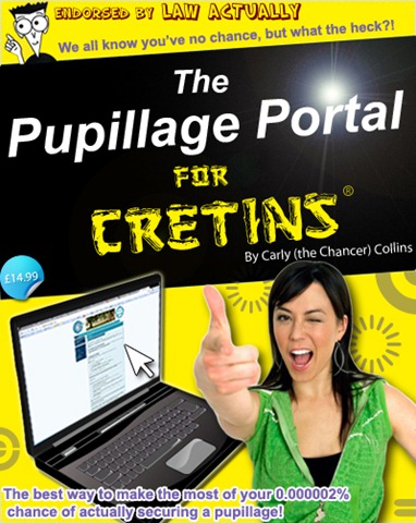 [Pupillage Portal for Cretins[5].jpg]